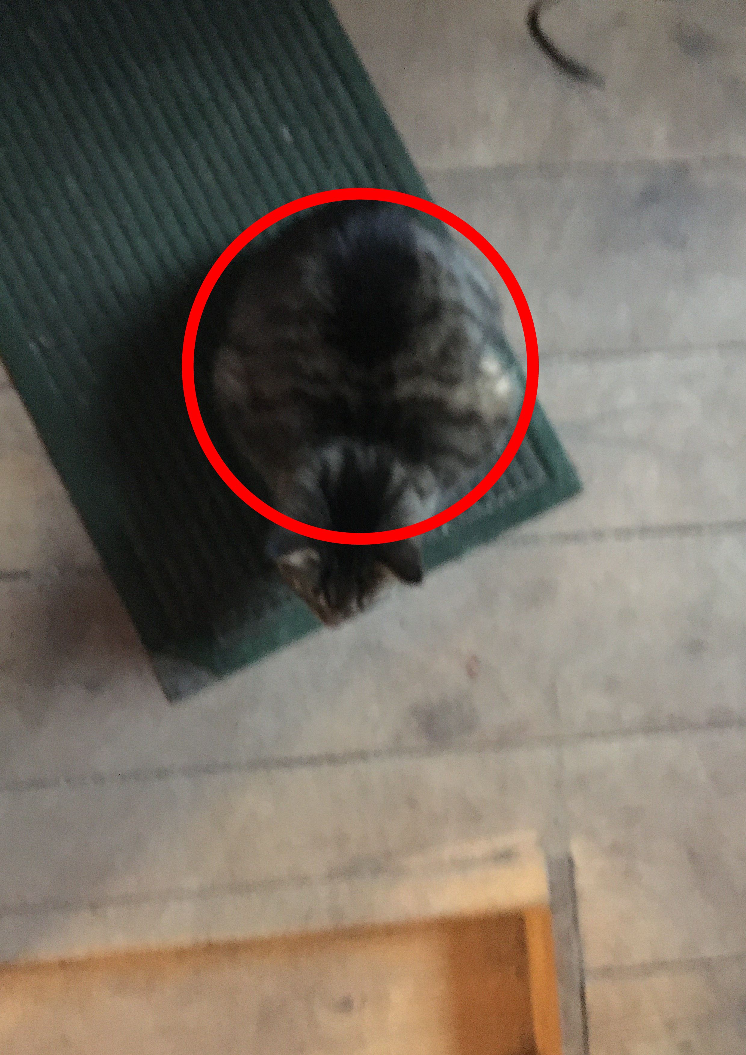 Site hosted by Neocities